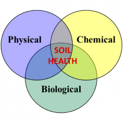 Soil Health venn diagram